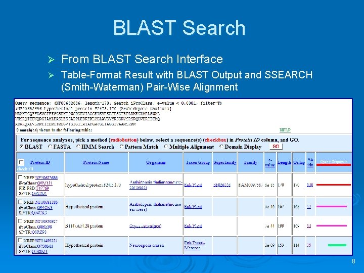 BLAST Search Ø From BLAST Search Interface Ø Table-Format Result with BLAST Output and