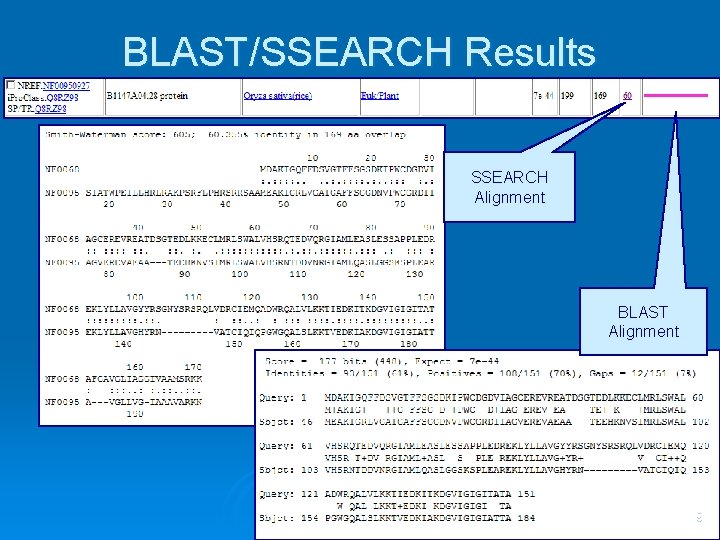 BLAST/SSEARCH Results SSEARCH Alignment BLAST Alignment 9 