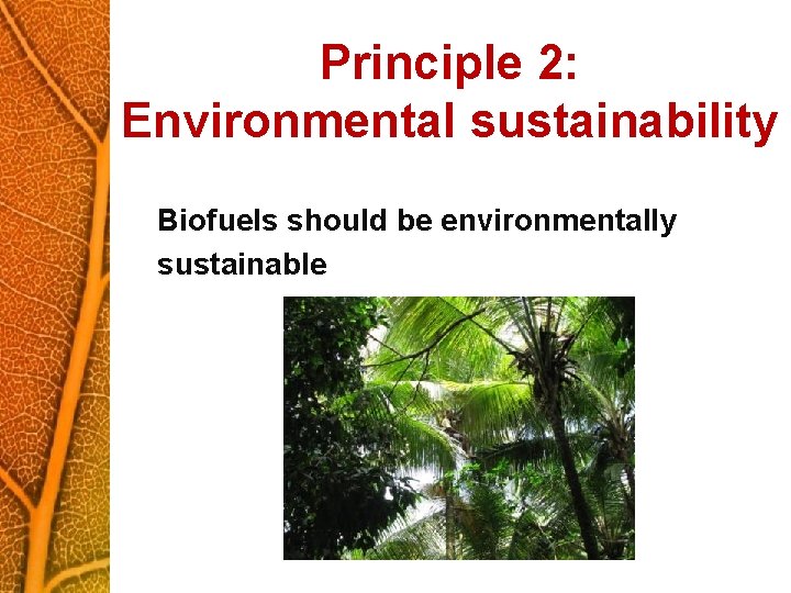 Principle 2: Environmental sustainability Biofuels should be environmentally sustainable 