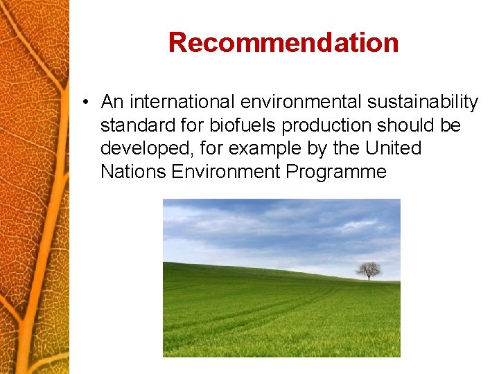 Recommendation • An international environmental sustainability standard for biofuels production should be developed, for