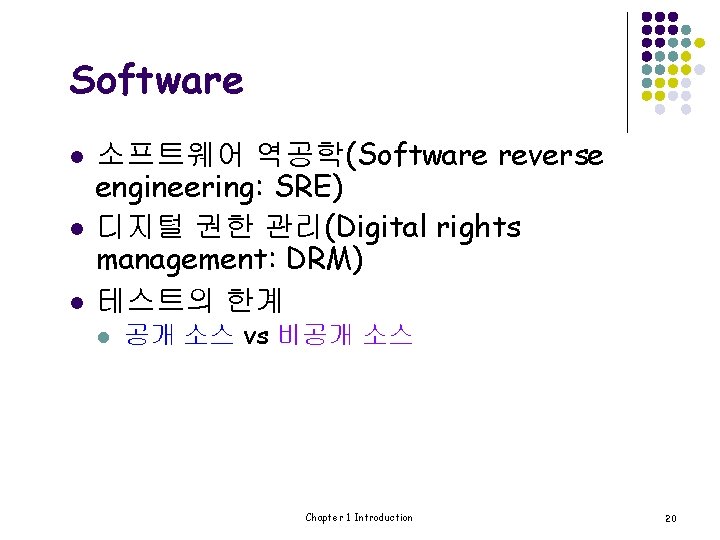 Software l l l 소프트웨어 역공학(Software reverse engineering: SRE) 디지털 권한 관리(Digital rights management:
