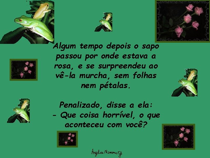 Algum tempo depois o sapo passou por onde estava a rosa, e se surpreendeu
