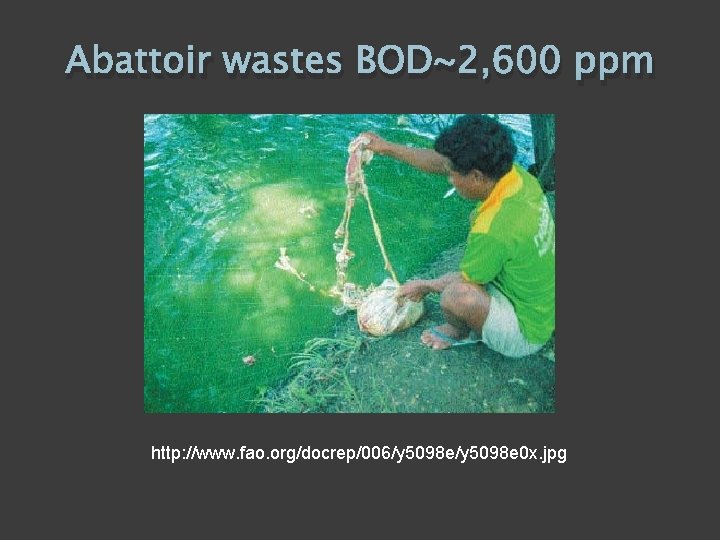 Abattoir wastes BOD~2, 600 ppm http: //www. fao. org/docrep/006/y 5098 e 0 x. jpg