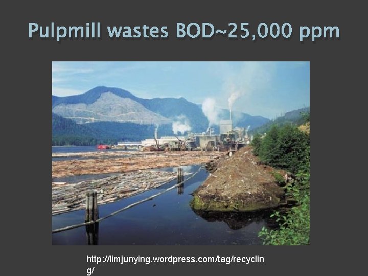 Pulpmill wastes BOD~25, 000 ppm http: //limjunying. wordpress. com/tag/recyclin g/ 