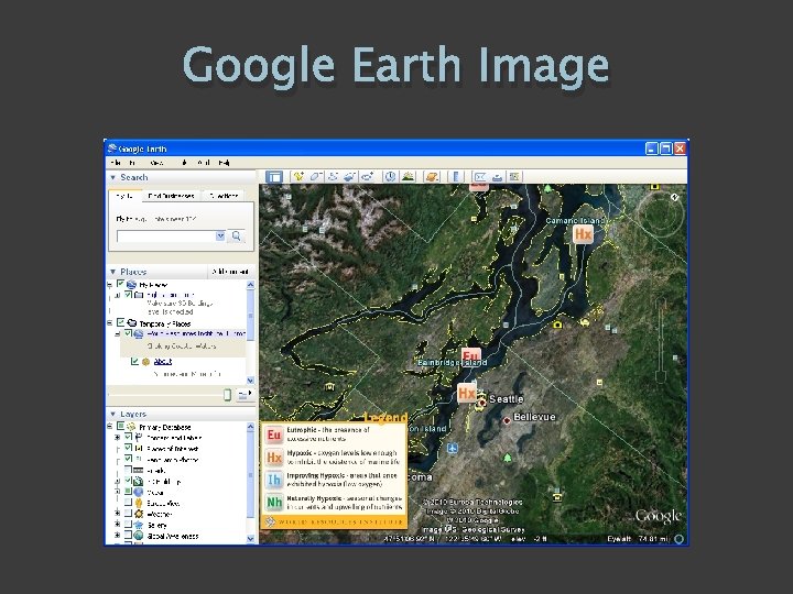 Google Earth Image 