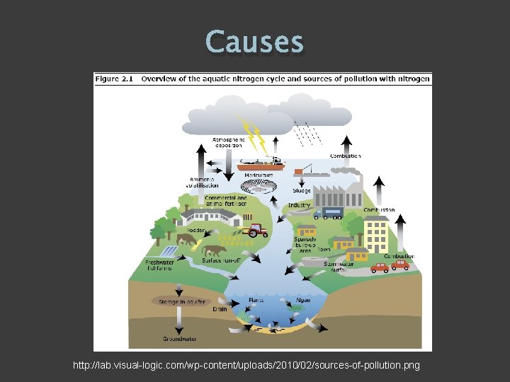 Causes http: //lab. visual-logic. com/wp-content/uploads/2010/02/sources-of-pollution. png 