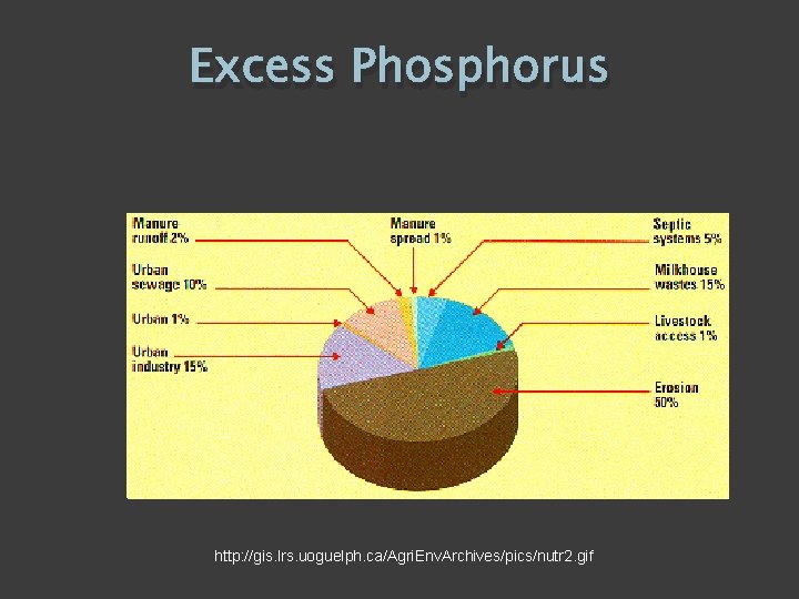 Excess Phosphorus http: //gis. lrs. uoguelph. ca/Agri. Env. Archives/pics/nutr 2. gif 