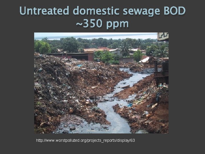 Untreated domestic sewage BOD ~350 ppm http: //www. worstpolluted. org/projects_reports/display/63 