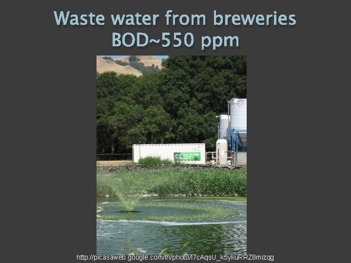 Waste water from breweries BOD~550 ppm http: //picasaweb. google. com/lh/photo/l 7 c. Aqs. U_k