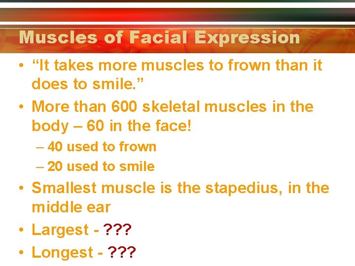 Muscles of Facial Expression • “It takes more muscles to frown than it does