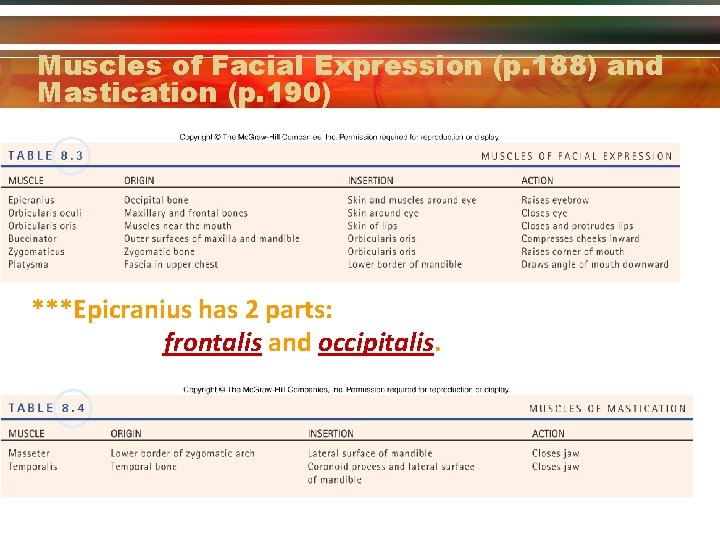 Muscles of Facial Expression (p. 188) and Mastication (p. 190) ***Epicranius has 2 parts: