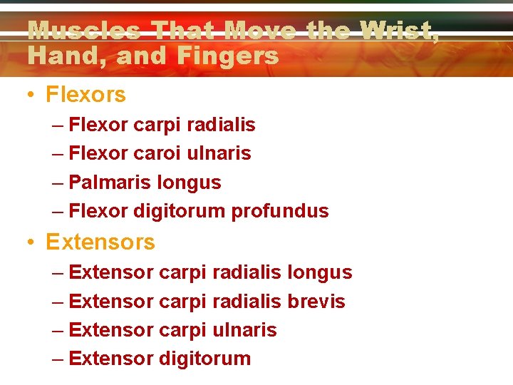 Muscles That Move the Wrist, Hand, and Fingers • Flexors – Flexor carpi radialis