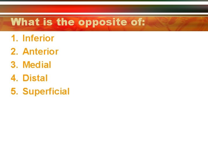 What is the opposite of: 1. 2. 3. 4. 5. Inferior Anterior Medial Distal