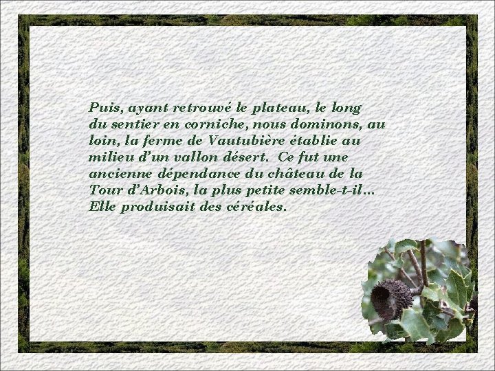 Puis, ayant retrouvé le plateau, le long du sentier en corniche, nous dominons, au