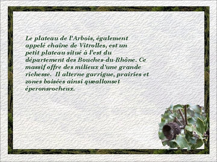 Le plateau de l'Arbois, également appelé chaîne de Vitrolles, est un petit plateau situé