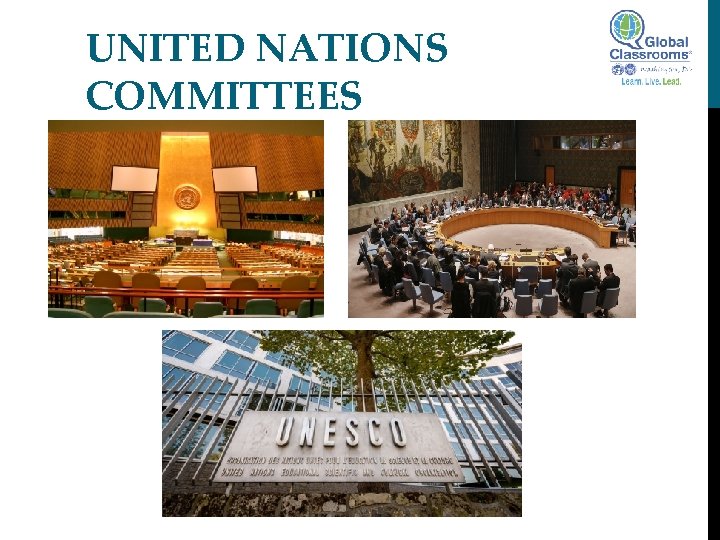 UNITED NATIONS COMMITTEES 