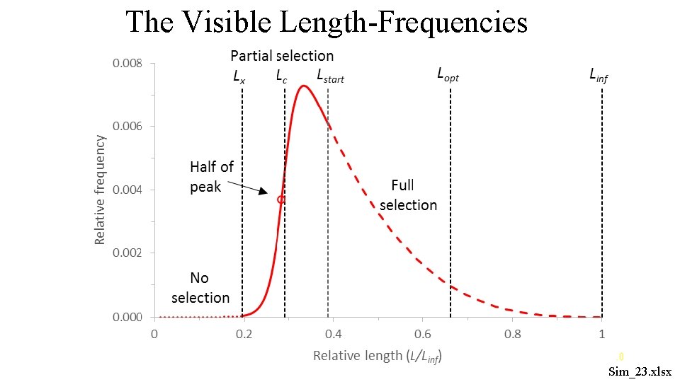 The Visible Length-Frequencies 10 Sim_23. xlsx 