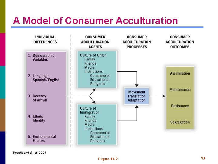 A Model of Consumer Acculturation Prentice-Hall, cr 2009 Figure 14. 2 13 