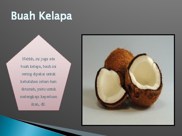 Buah Kelapa Nahhh, ini juga ada buah kelapa, bauh ini sering dipakai untuk kebutuhan