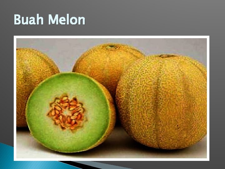 Buah Melon 