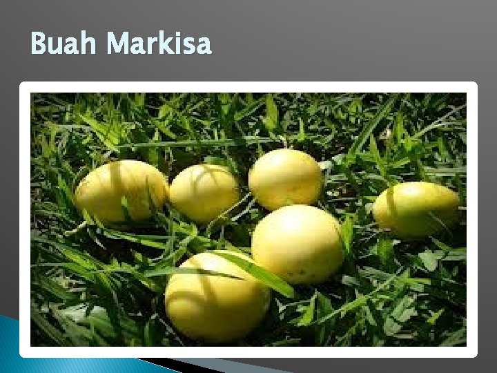 Buah Markisa 