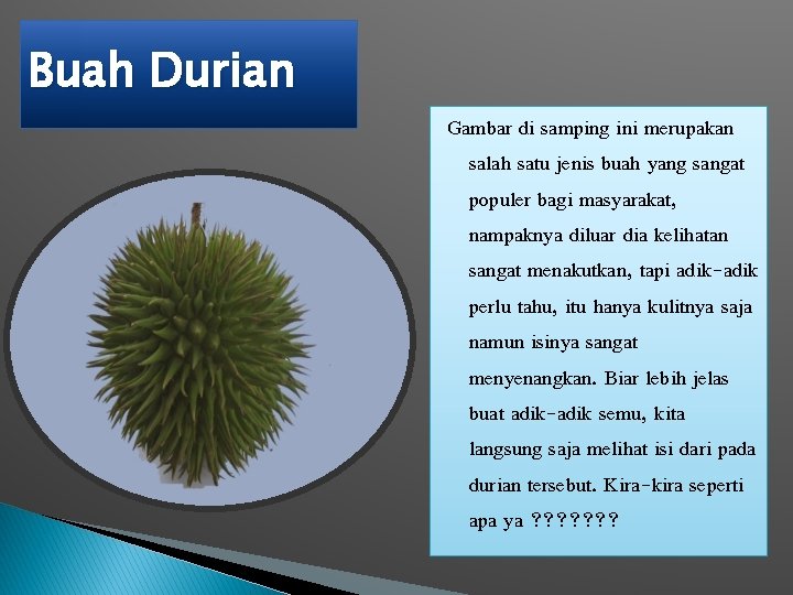 Buah Durian Gambar di samping ini merupakan salah satu jenis buah yang sangat populer