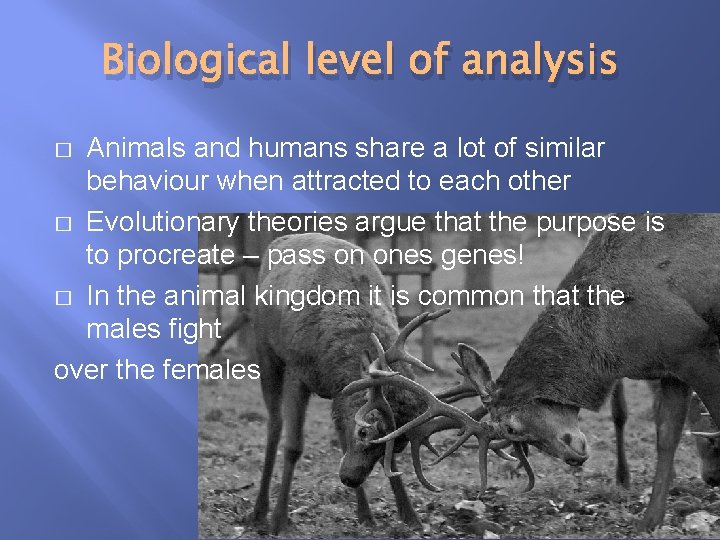 Biological level of analysis Animals and humans share a lot of similar behaviour when
