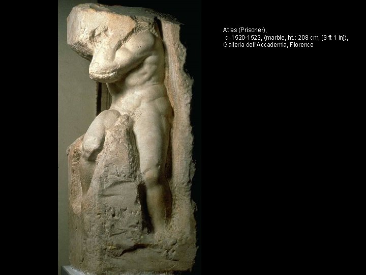 Atlas (Prisoner), c. 1520 -1523, (marble, ht. : 208 cm, [9 ft 1 in]),