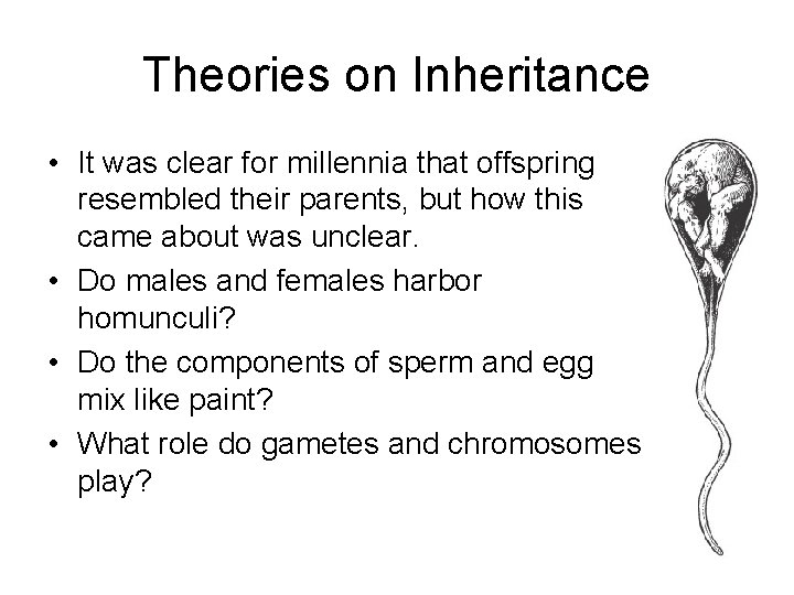 Theories on Inheritance • It was clear for millennia that offspring resembled their parents,