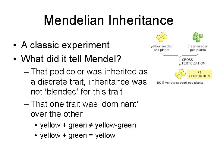 Mendelian Inheritance • A classic experiment • What did it tell Mendel? – That
