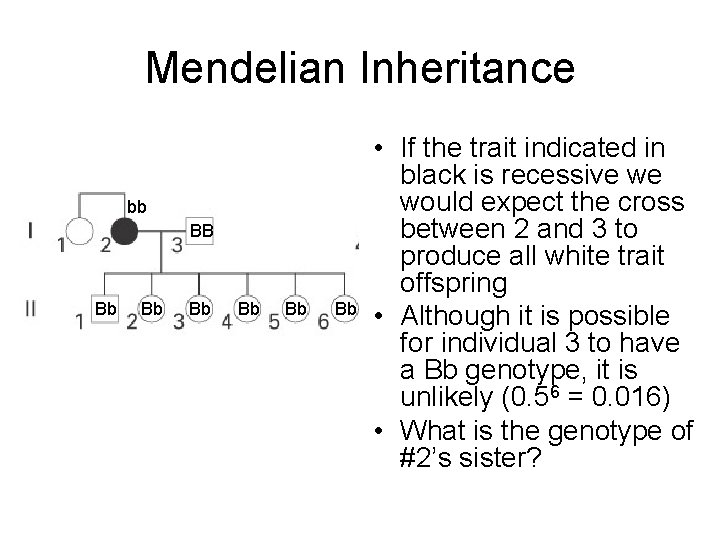 Mendelian Inheritance bb BB Bb Bb Bb • If the trait indicated in black