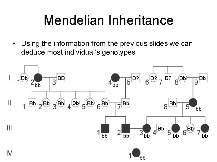 Mendelian Inheritance • Using the information from the previous slides we can deduce most