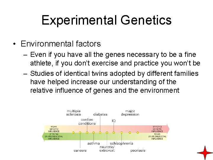 Experimental Genetics • Environmental factors – Even if you have all the genes necessary