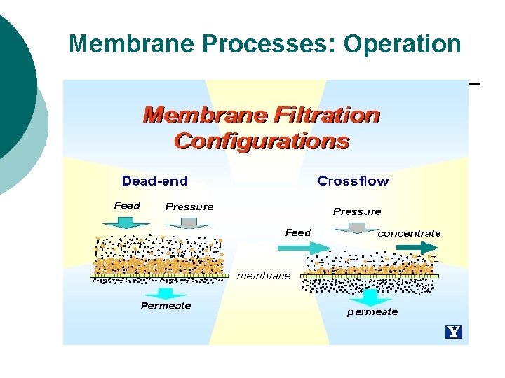 Membrane Processes: Operation 