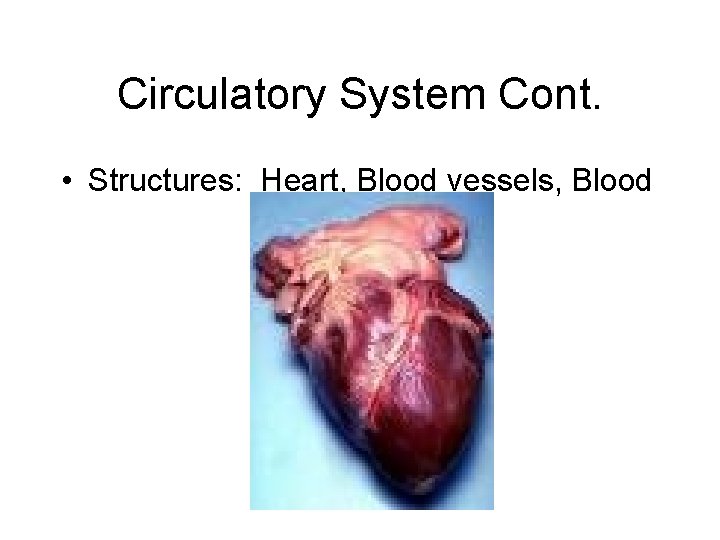 Circulatory System Cont. • Structures: Heart, Blood vessels, Blood 
