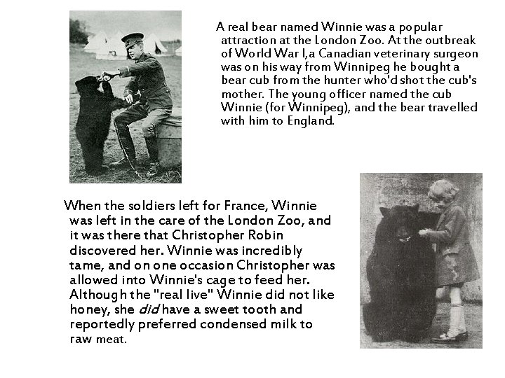 A real bear named Winnie was a popular attraction at the London Zoo. At