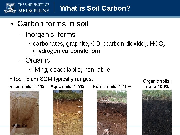 What is Soil Carbon? • Carbon forms in soil – Inorganic forms • carbonates,