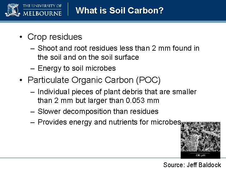 What is Soil Carbon? • Crop residues – Shoot and root residues less than