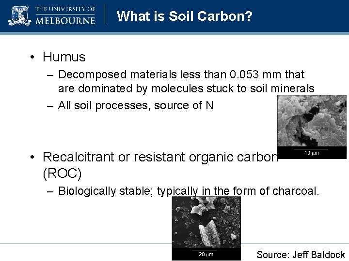 What is Soil Carbon? • Humus – Decomposed materials less than 0. 053 mm