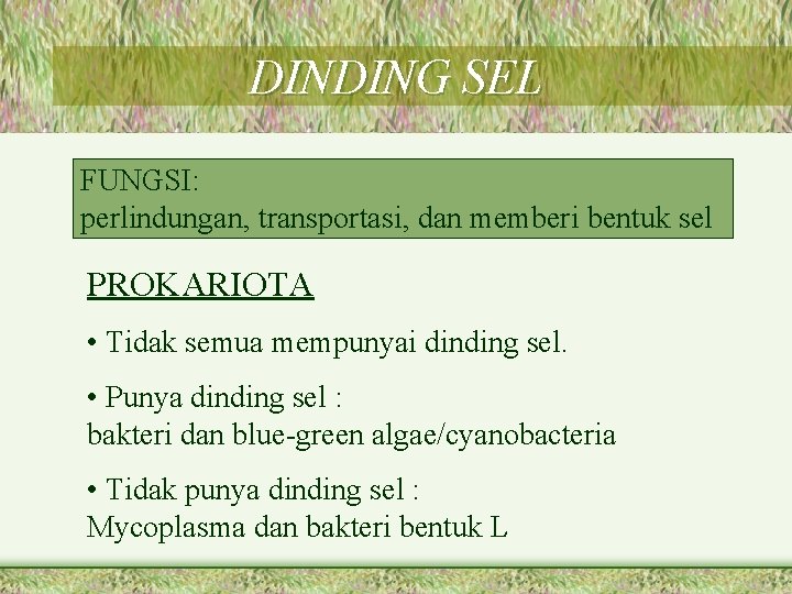 DINDING SEL FUNGSI: perlindungan, transportasi, dan memberi bentuk sel PROKARIOTA • Tidak semua mempunyai