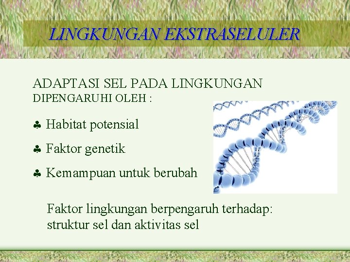 LINGKUNGAN EKSTRASELULER ADAPTASI SEL PADA LINGKUNGAN DIPENGARUHI OLEH : Habitat potensial Faktor genetik Kemampuan