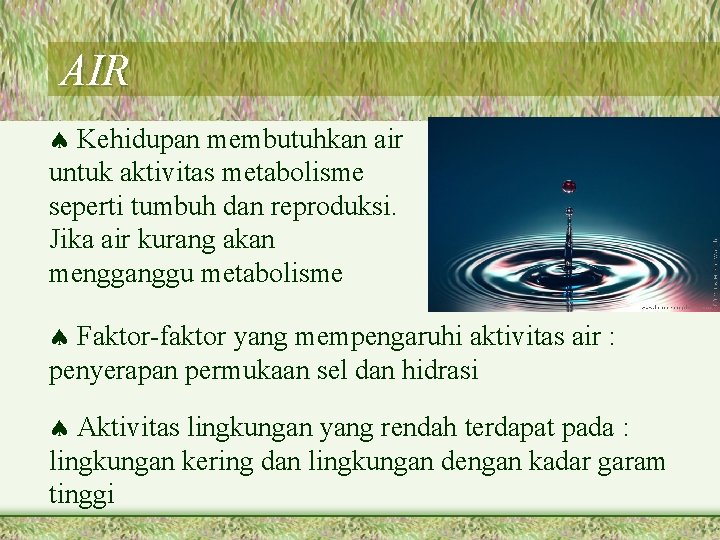 AIR Kehidupan membutuhkan air untuk aktivitas metabolisme seperti tumbuh dan reproduksi. Jika air kurang