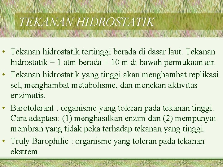 TEKANAN HIDROSTATIK • Tekanan hidrostatik tertinggi berada di dasar laut. Tekanan hidrostatik = 1