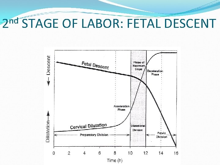 2 nd STAGE OF LABOR: FETAL DESCENT 