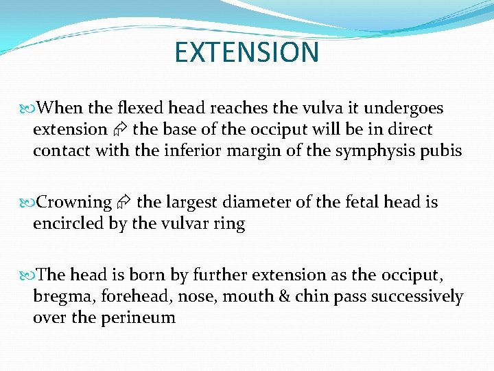 EXTENSION When the flexed head reaches the vulva it undergoes extension the base of