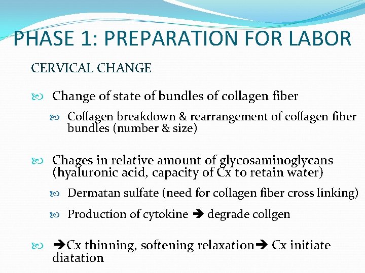 PHASE 1: PREPARATION FOR LABOR CERVICAL CHANGE Change of state of bundles of collagen