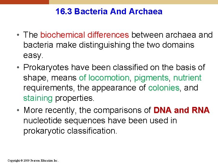 16. 3 Bacteria And Archaea • The biochemical differences between archaea and bacteria make