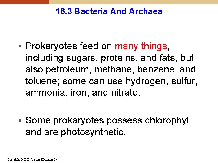 16. 3 Bacteria And Archaea • Prokaryotes feed on many things, including sugars, proteins,