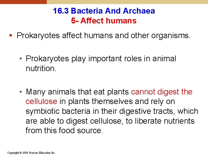 16. 3 Bacteria And Archaea 5 - Affect humans § Prokaryotes affect humans and