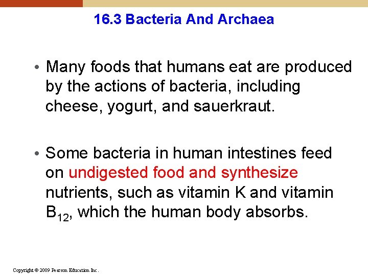 16. 3 Bacteria And Archaea • Many foods that humans eat are produced by